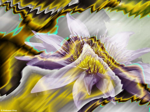 296 (a): :1024x768